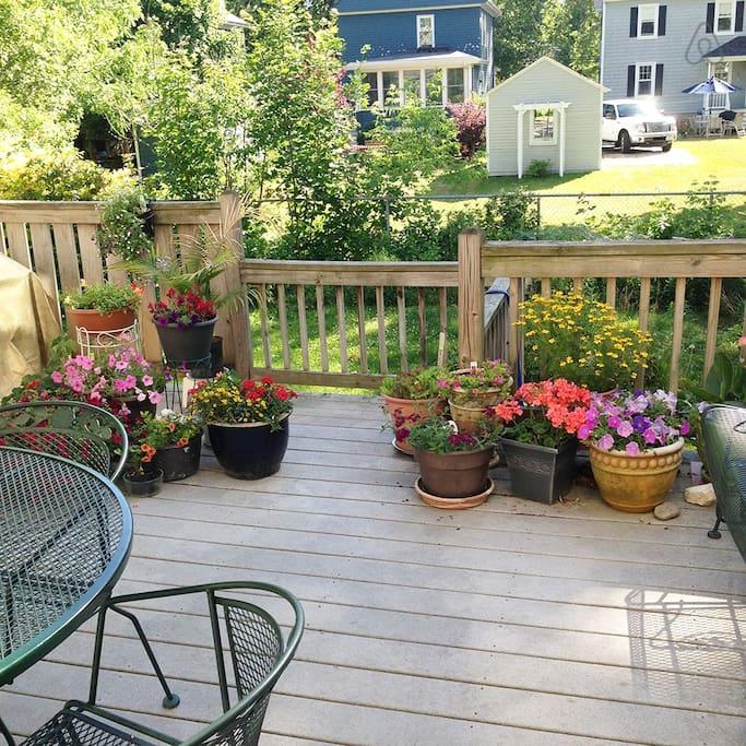Pet Friendly Vacation Rentals In North Hampton Nh Bringfido