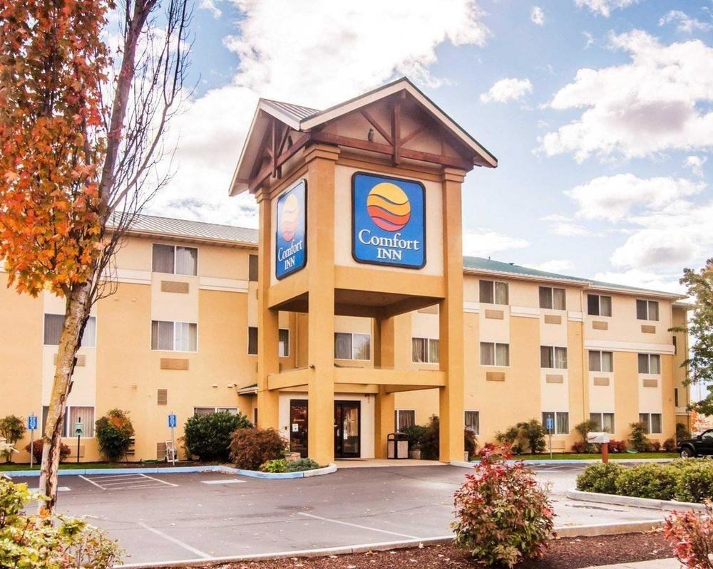 Comfort Inn South Pet Policy