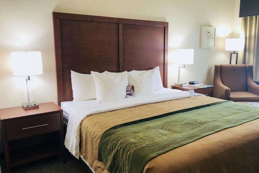 Comfort Inn South Pet Policy