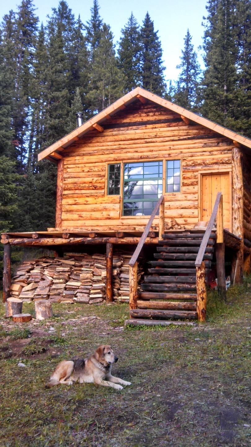 The Woody Creek Cabin Pet Policy