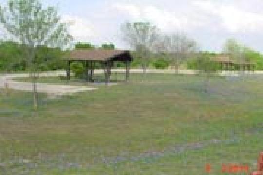 Taylor Campground Pet Policy