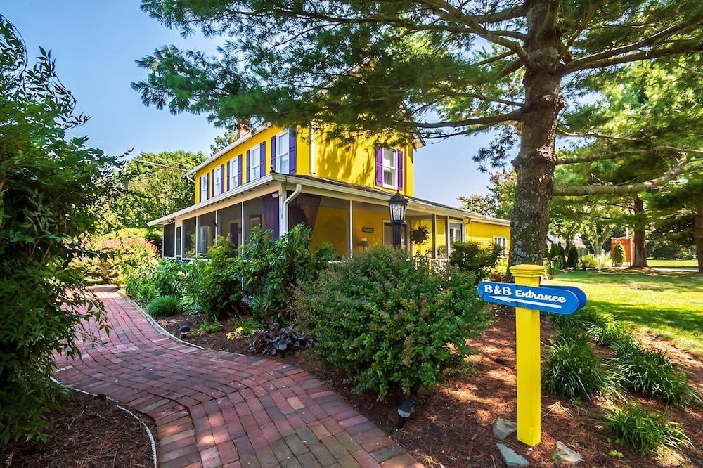 Pet Friendly Homestead Bed & Breakfast at Rehoboth