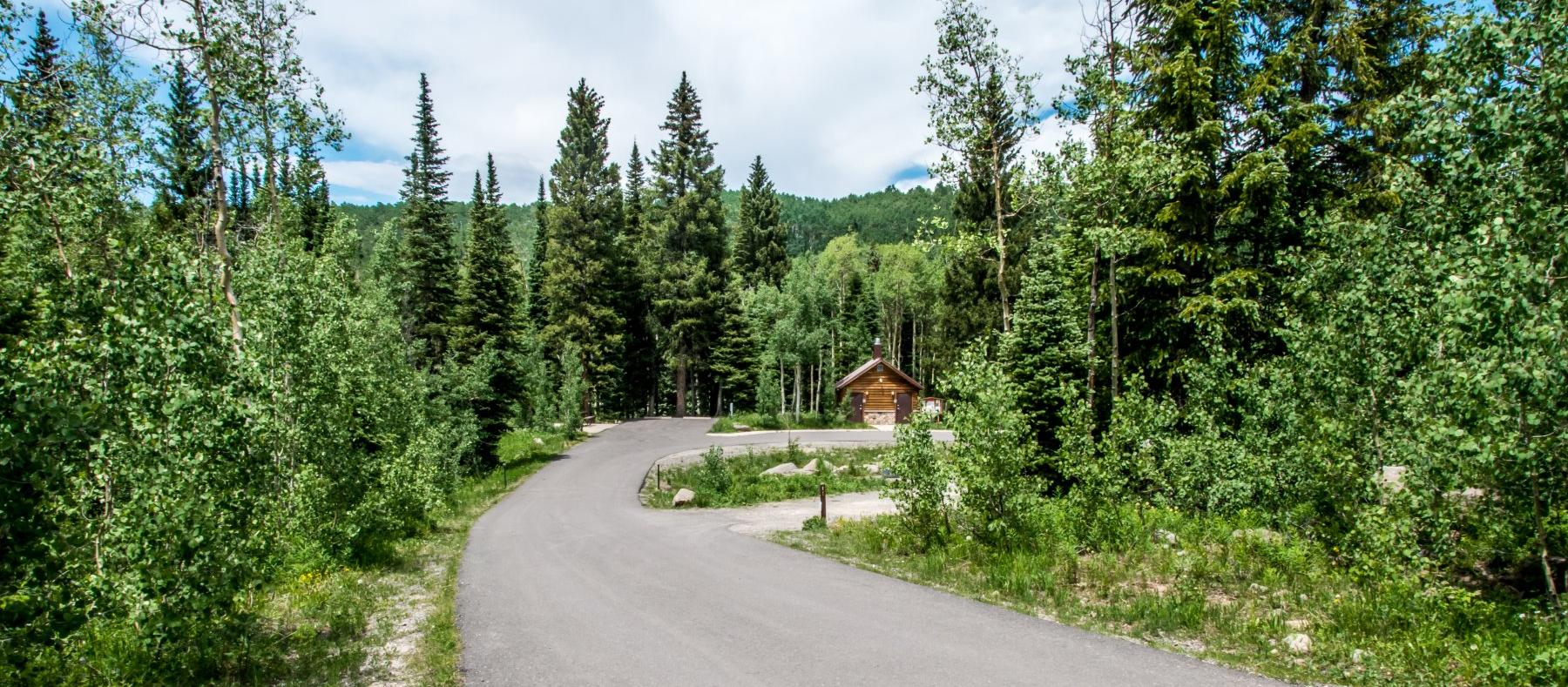 Jumbo Campground is dog friendly! Jumbo Campground is dog friendly!