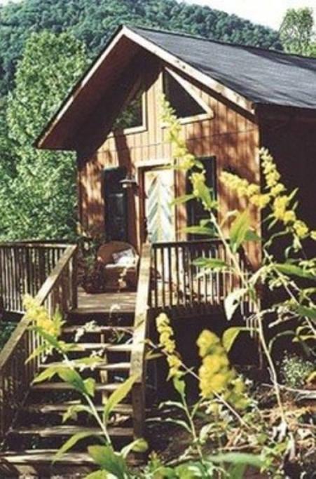 Pet Friendly Black Mountain Airbnb Rentals