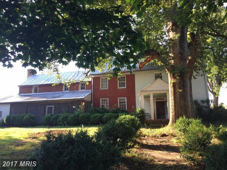 pets at home middlebrook