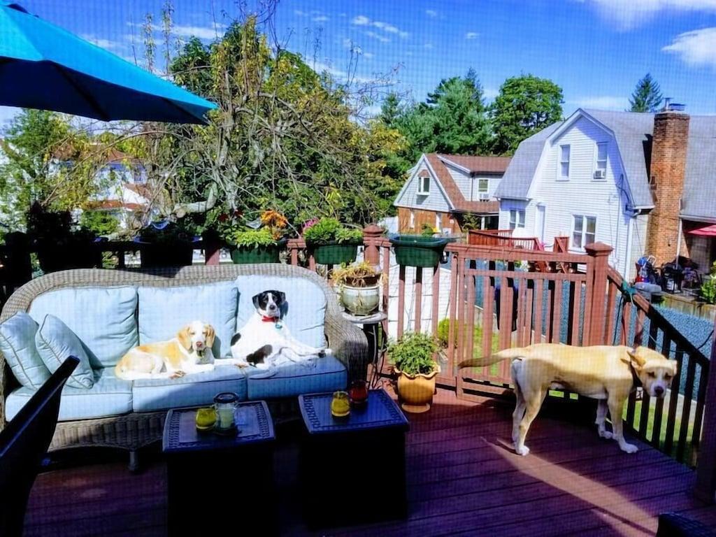 Pet Friendly St Julian's Place - Large Updated Apt @ 40 Min Nyc