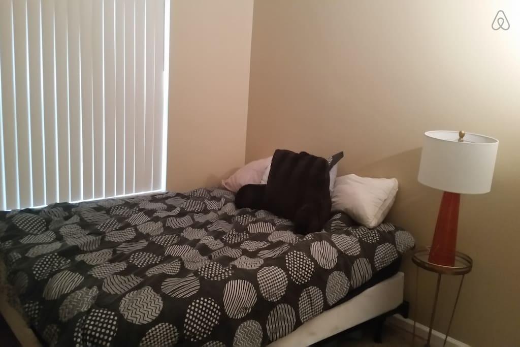 Pet Friendly Vacation Rentals In Boynton Beach Fl Bringfido