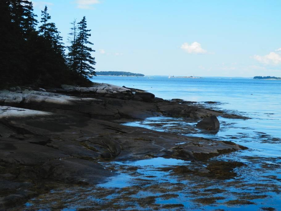 Pet Friendly Vacation Rentals In Popham Beach Me Bringfido
