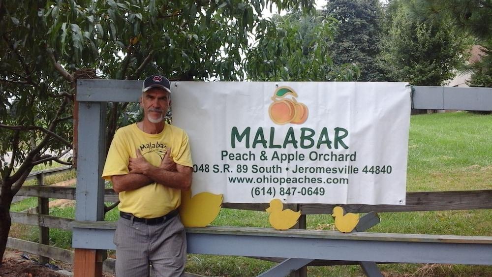Pet Friendly Orchard Retreat Malabar Peach