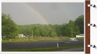 roaring brook doggy daycare