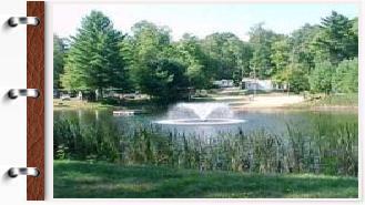 roaring brook doggy daycare