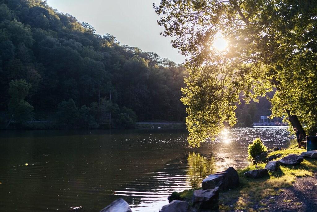 WvHawkSNestB807 Pet Policy