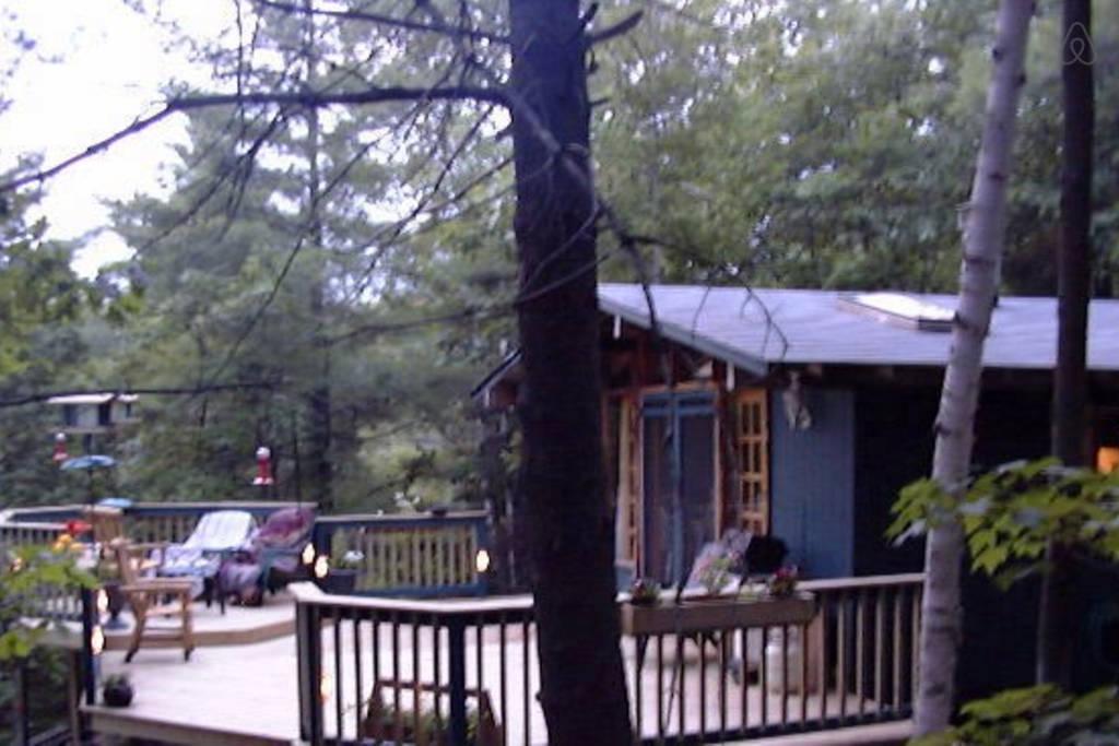 Windermere Airbnb Rentals Pet Policy