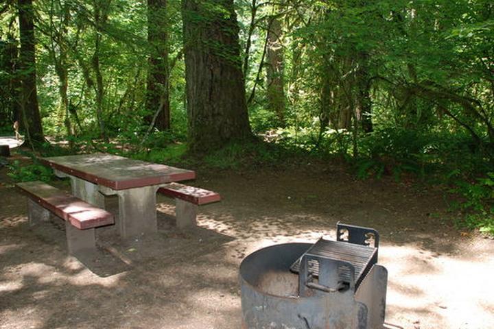 Pet Friendly Paradise in Oregon Campground