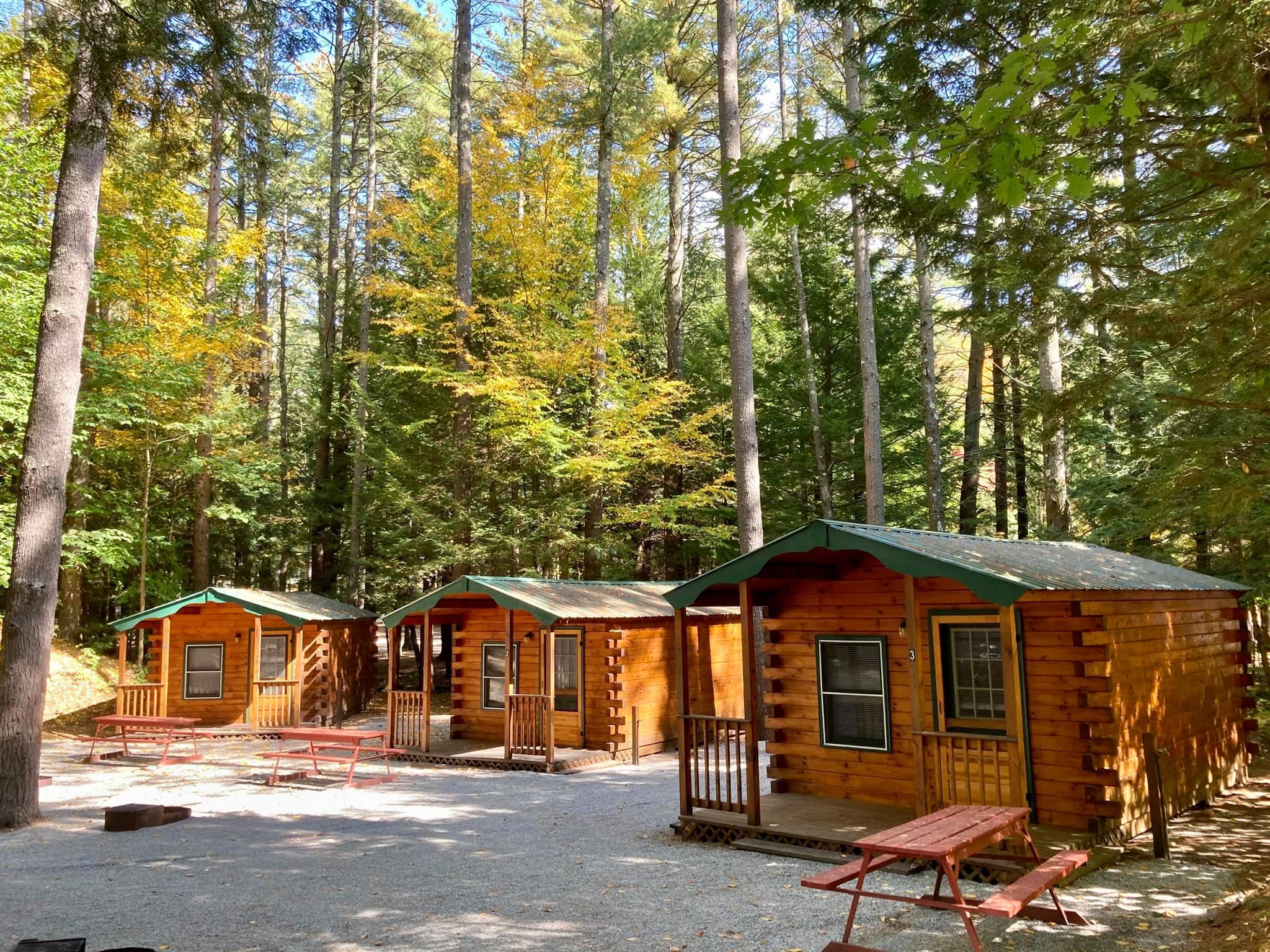 Pet Friendly Cold Springs Camp Resort