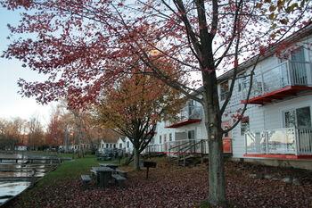 Golden Beach Resort Pet Policy