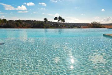 Pet Friendly Luxury Big Pool Villa