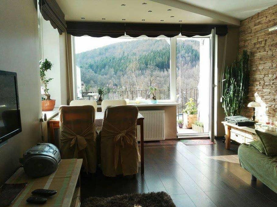 Pet Friendly Karpacz Airbnb Rentals