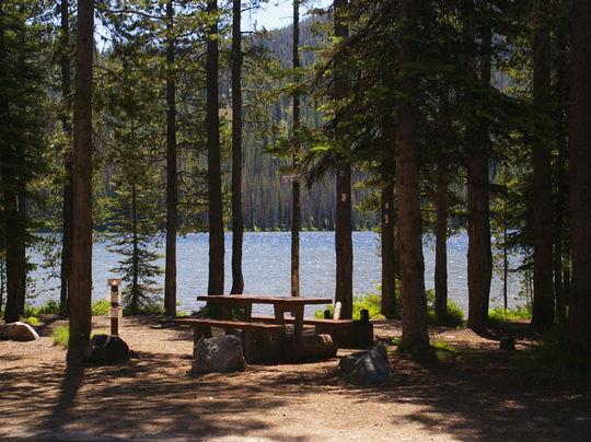 Pet Friendly Bull Trout Campground