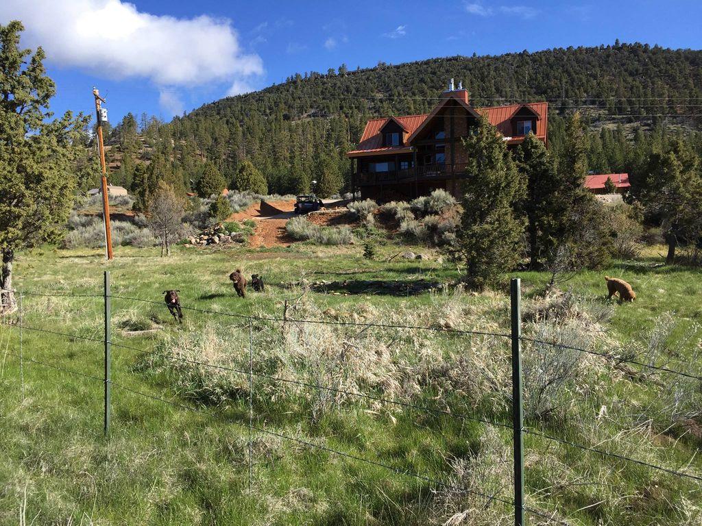 Pet Friendly Vacation Rentals In Panguitch Lake Ut Bringfido