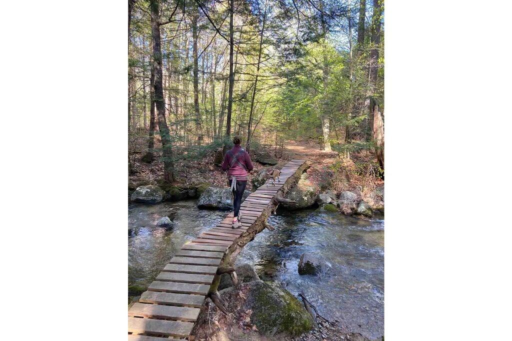 Spacious Family Home in North Conway Pet Policy