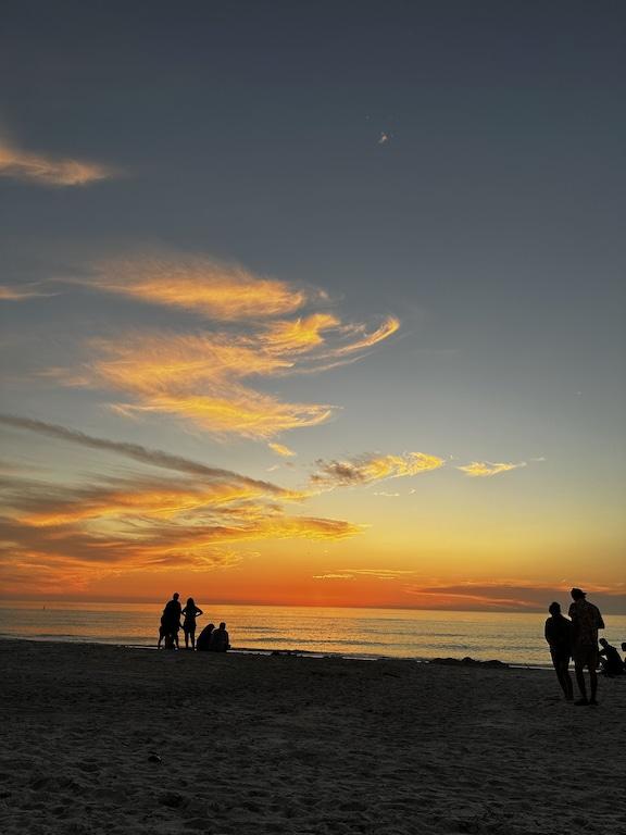 Beachfront Apartment in Indian Rocks Beach Pet Policy