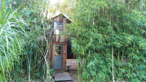 Pet Friendly Cabana Bambu
