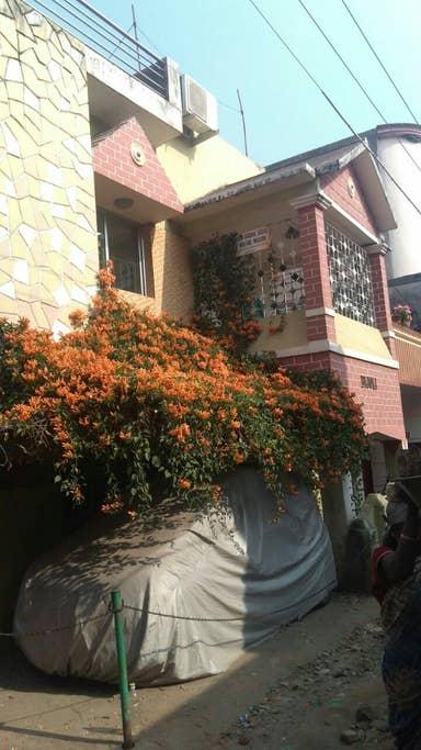 Pet Friendly Jamshedpur Airbnb Rentals