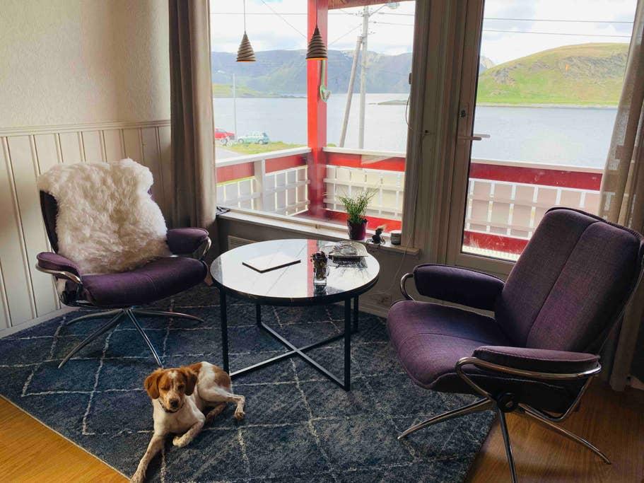Pet Friendly Honningsvag Airbnb Rentals