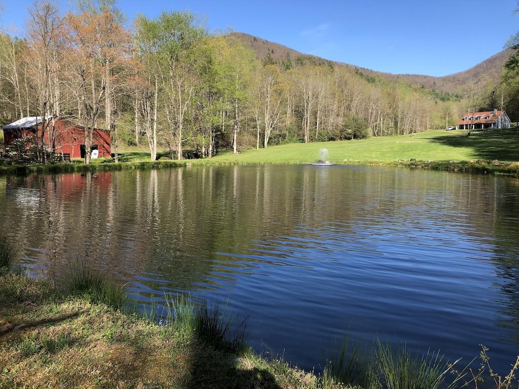 Grassy Fork Cabin Pet Policy