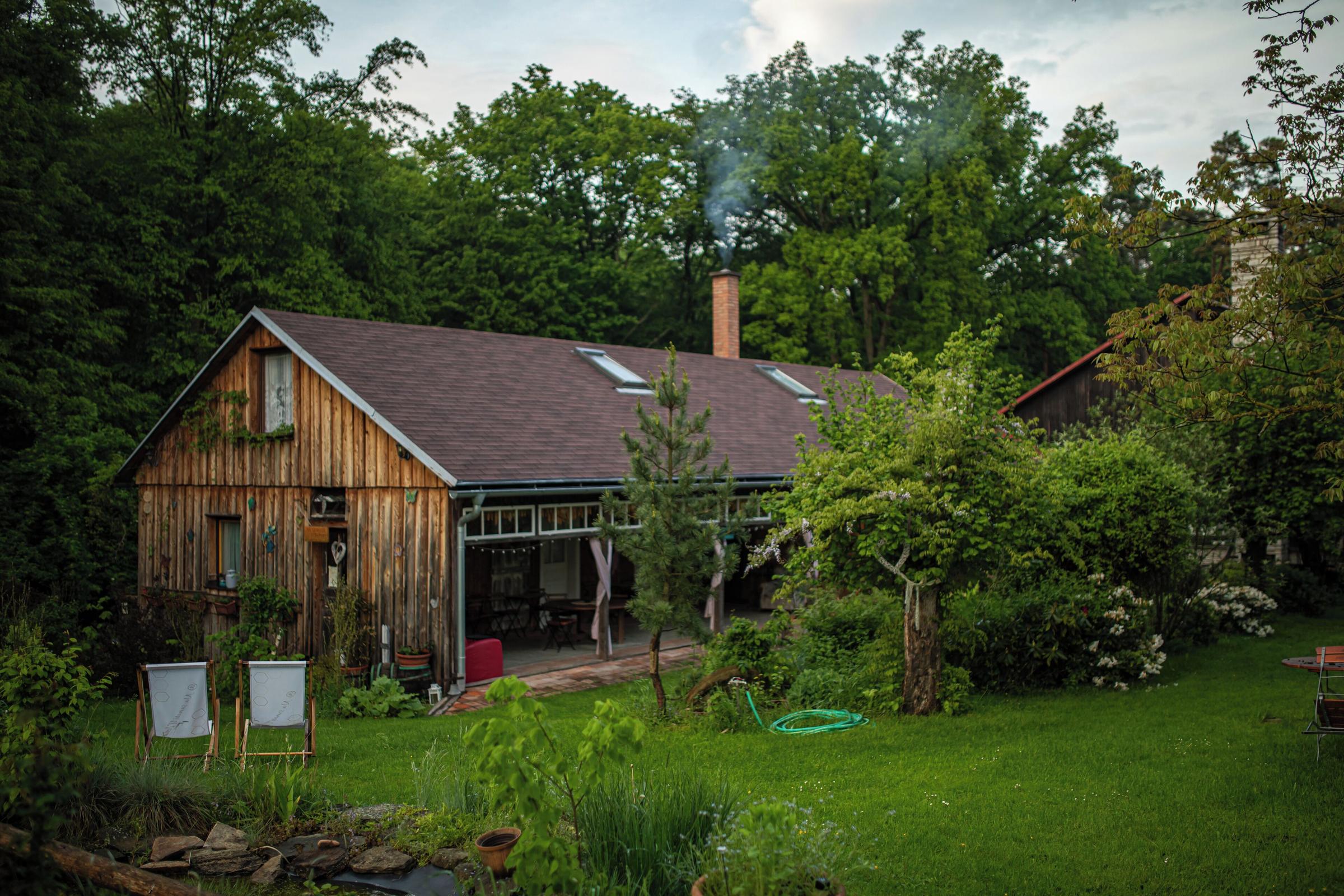 Pet Friendly House of Dreaming Bees