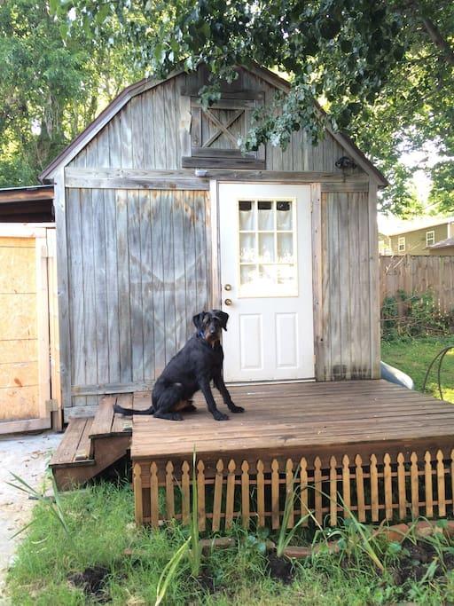Pet Friendly Nashville Airbnb Rentals