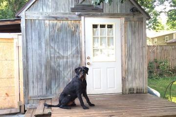 Pet Friendly Vacation Rentals In Tennessee Bringfido
