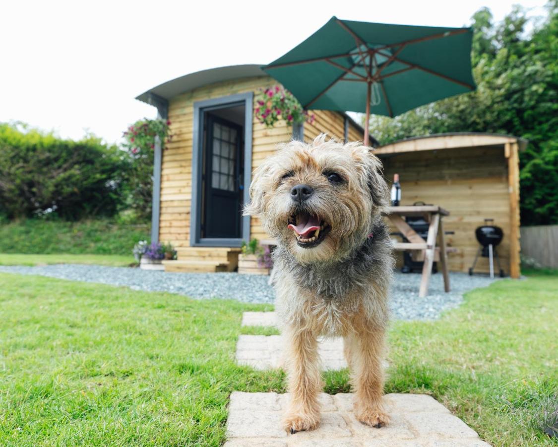 Pet Friendly Buttles Shepherd's Hut