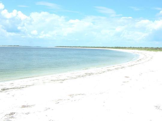 Pet Friendly Cayo Costa State Park Campground