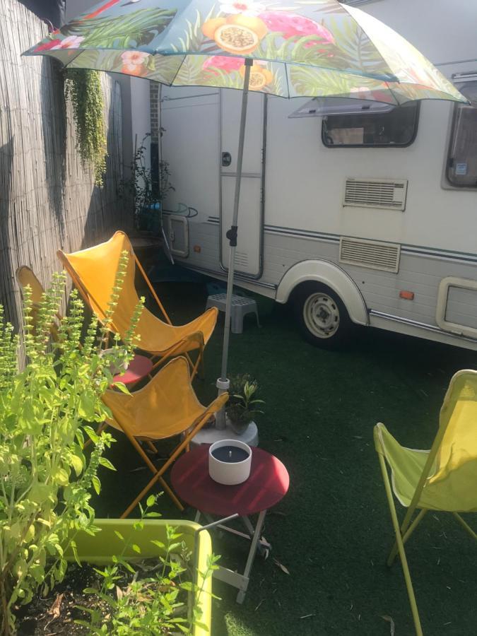 Pet Friendly Gardencaravan Near Ghent in Green Area