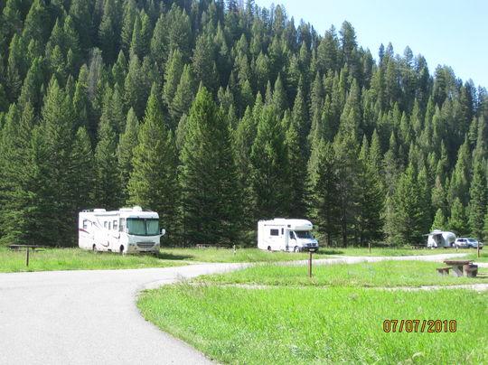 Moose Creek Flat Campground Pet Policy