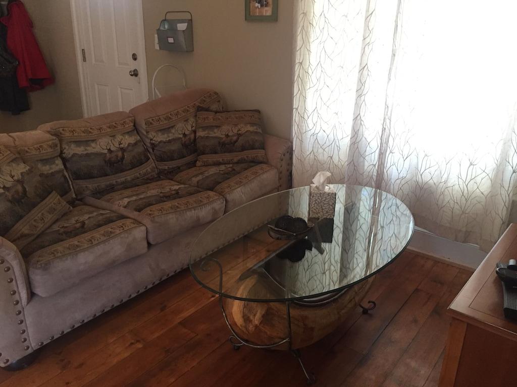 Pet Friendly Charming Downtown Howell Home
