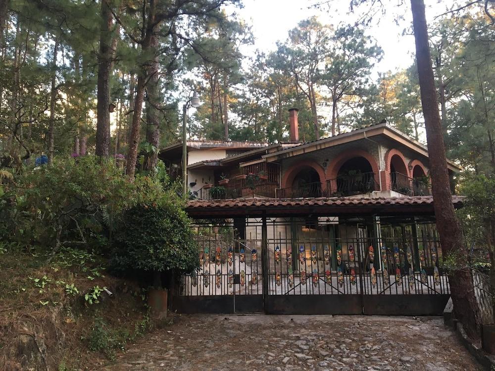 Pet Friendly Beautiful House with Nice Terrace in a Forest