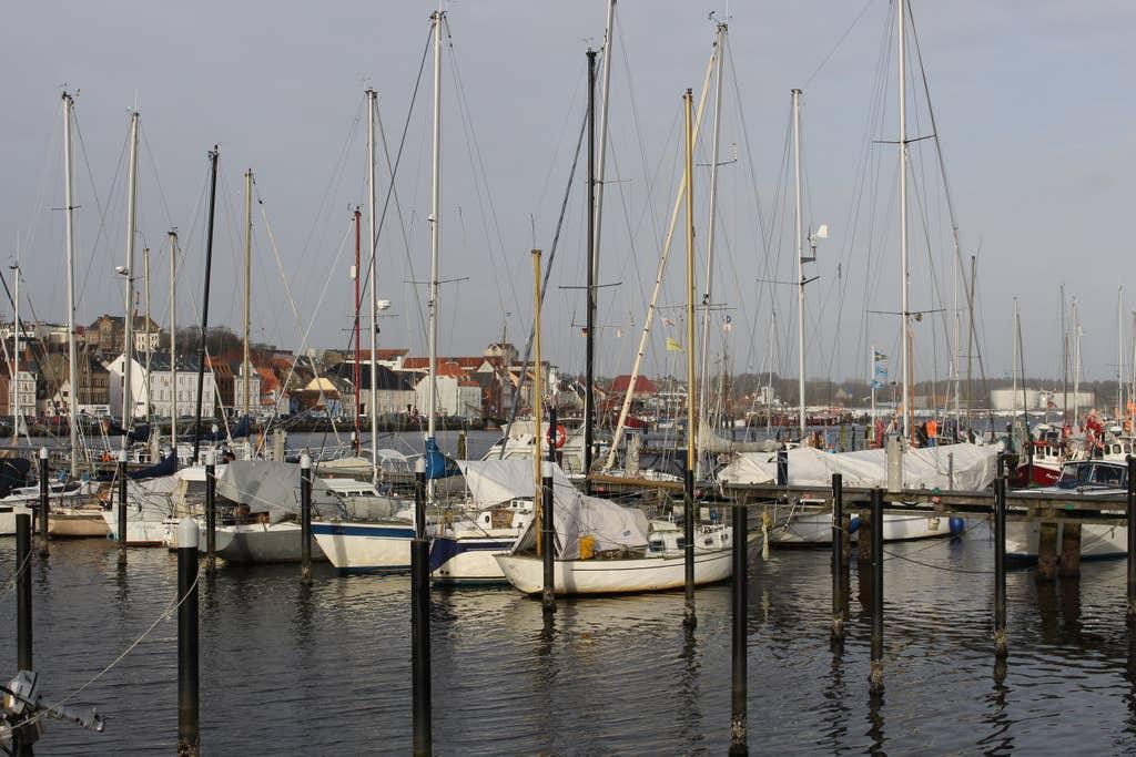 Pet Friendly Flensburg Airbnb Rentals