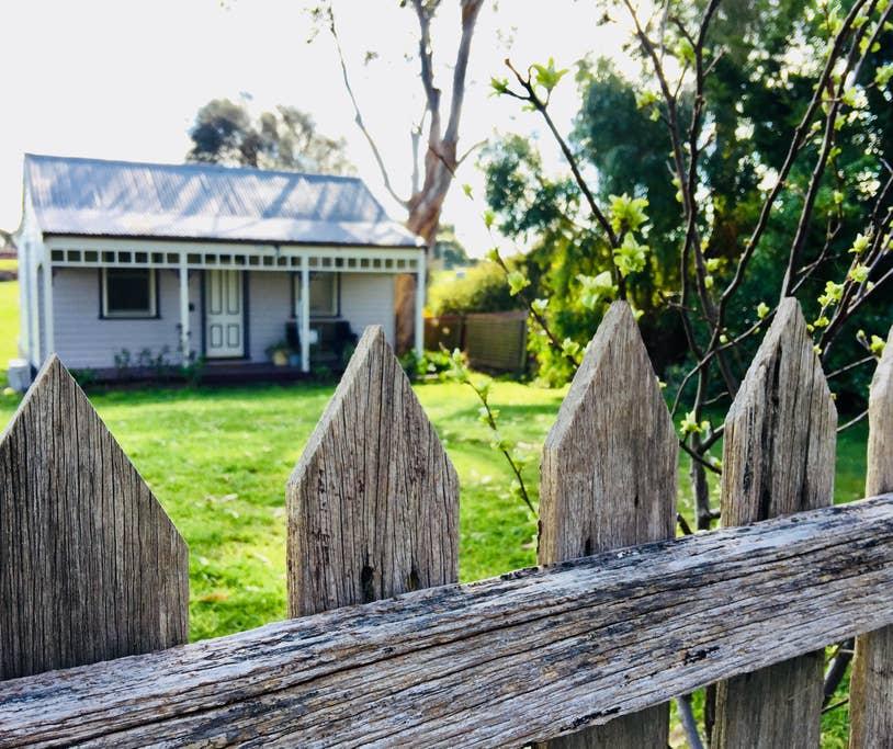 Port Fairy Airbnb Rentals Pet Policy