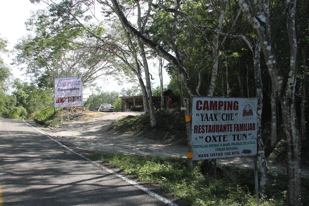 Pet Friendly Campamento Yaaxche en Calakmul