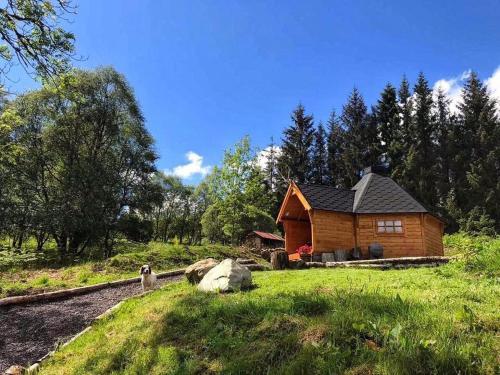 Pet Friendly The Nest Glamping Pod