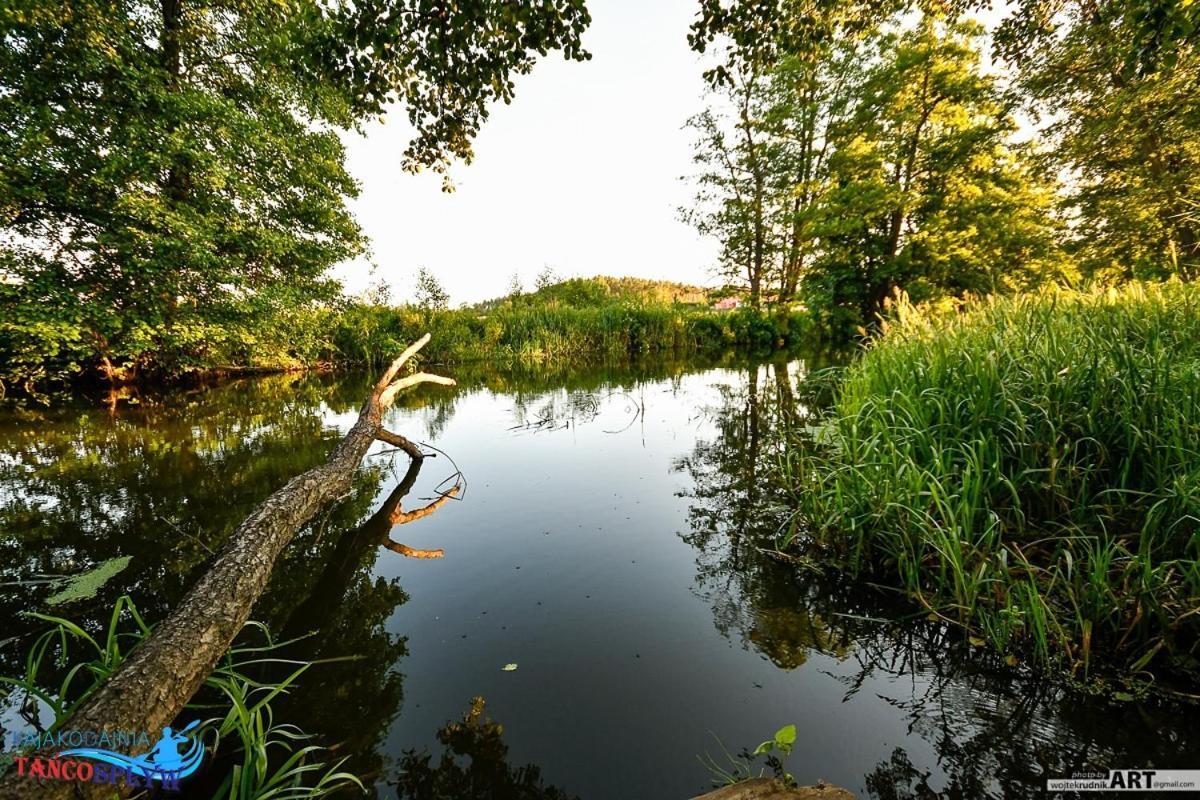 Pet Friendly Kajakodajnia Campsite at the Wierzyca River