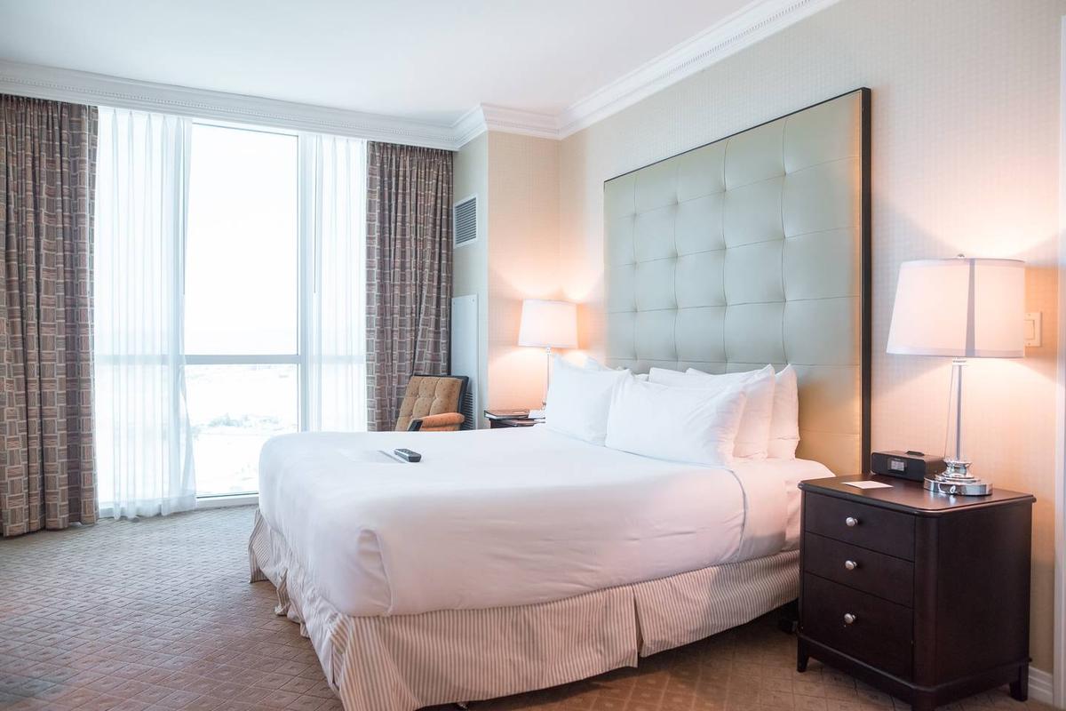 MGM 1 Bedroom Balcony Suite Pet Policy