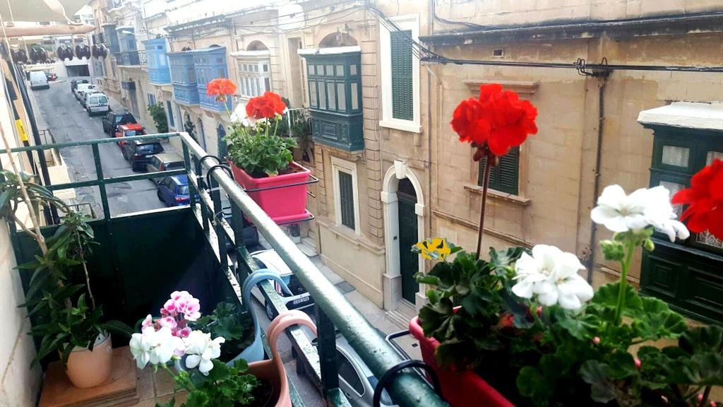 Seaside Apartments Malta Sliema 2BR Pet Policy