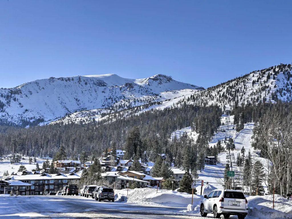 Ski Mammoth with Resort Amenities Pet Policy