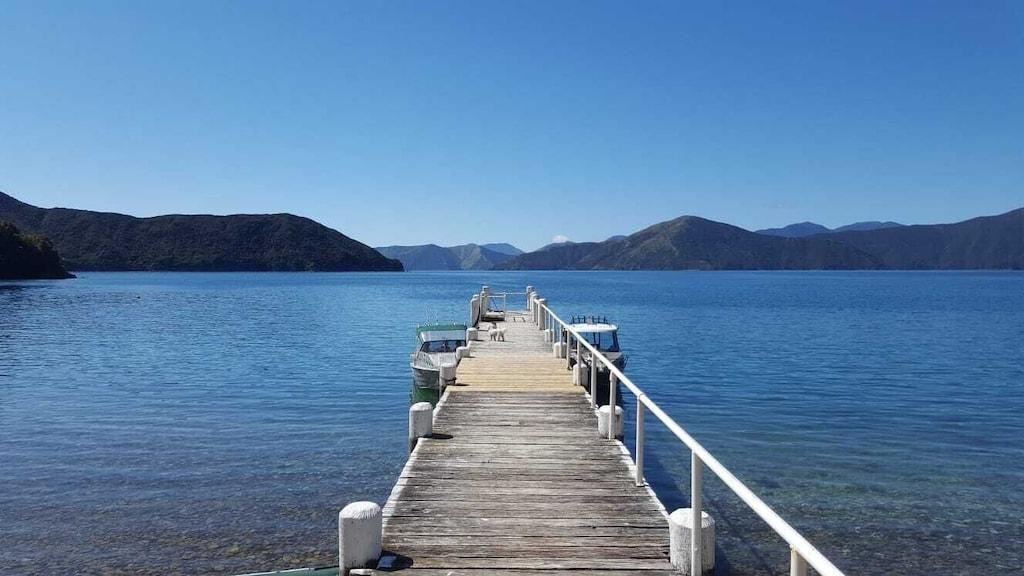 Pet Friendly Cozy Bach in the Marlborough Sounds
