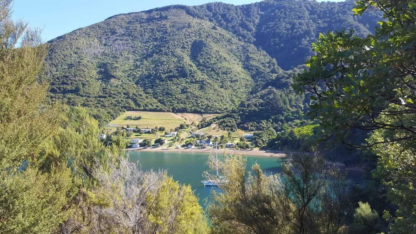 Pet Friendly Cozy Bach in the Marlborough Sounds