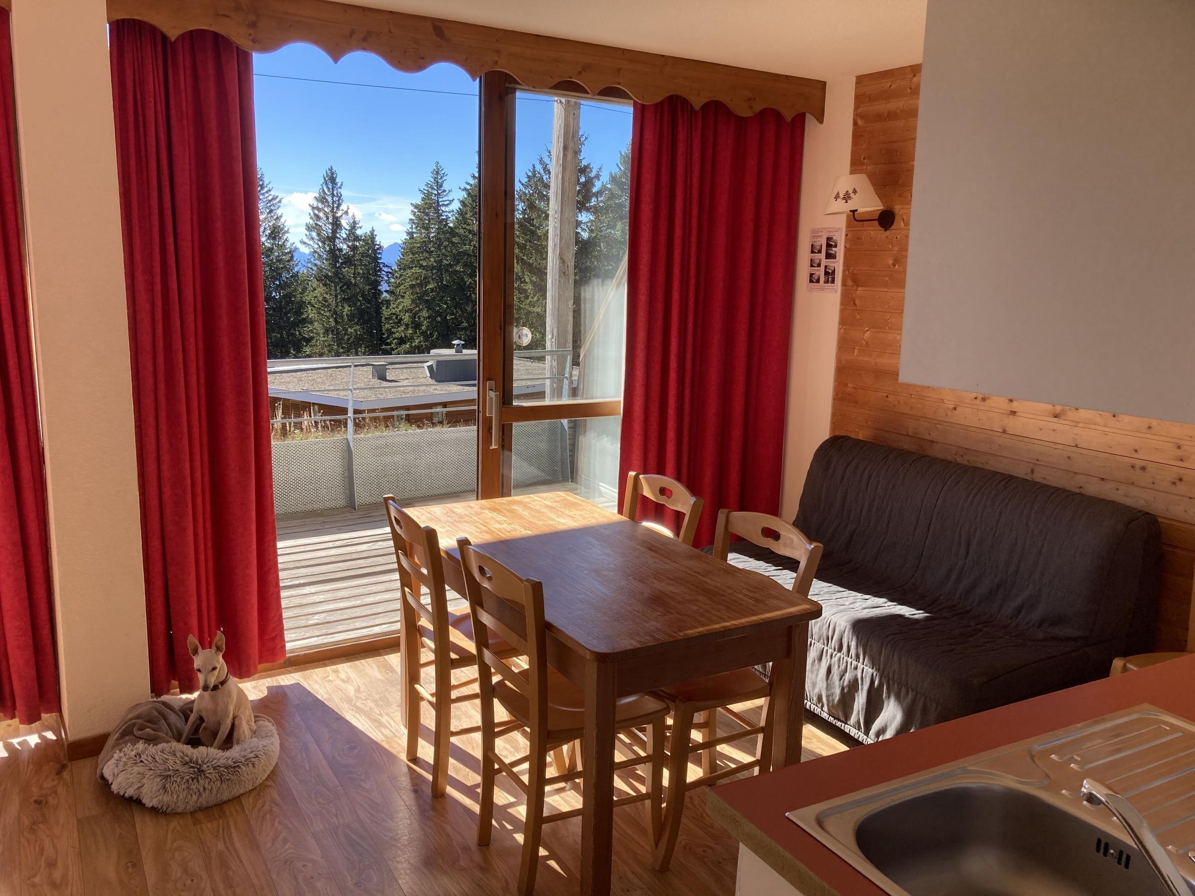 Pet Friendly Bright Apartment at Foot of the Slopes